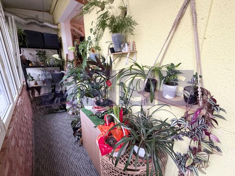 VANZARE 2 CAMERE | RENOVAT | ETAJ 1 | 52 MP | ZONA ION MIHALACHE - 11