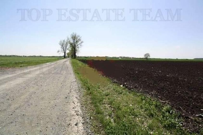 Teren  de vazare pt investitie, Sinesti, 4 eur / mp, 21000mp , Ialomita - 3