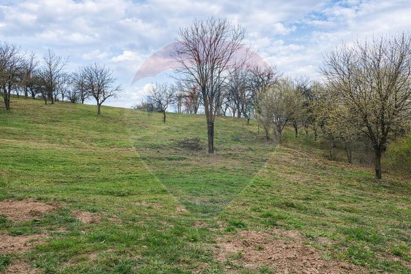 Teren intravilan Orăștie 2200 mp – perfect parc distracții / vilă - 2