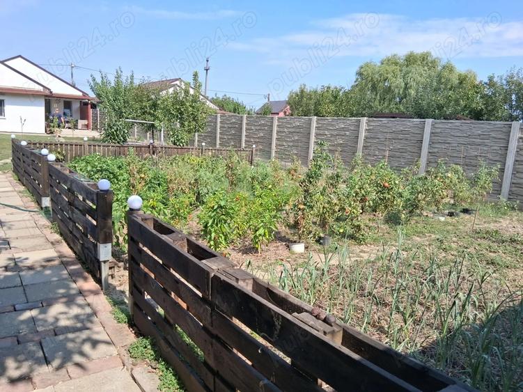 Vand casa individuala Sanmihaiu Roman - 6