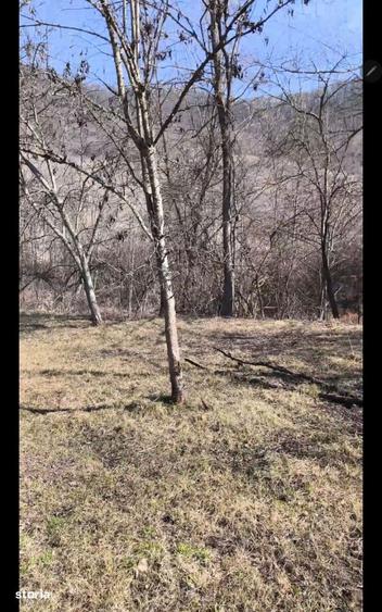 Teren intravilan, 2848 MP, Arghisu - 4