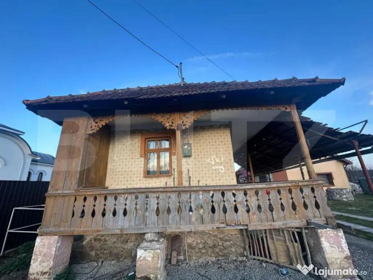 Spatiu comercial de inchiriat, 60 mp Ursati - 3