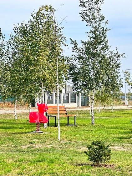 Oportunitate Eden Forest - 1