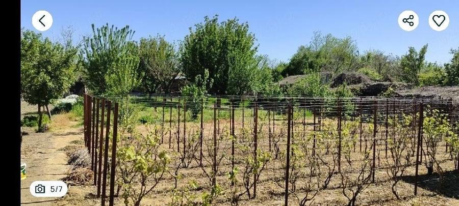 vand casa Mitreni - 5