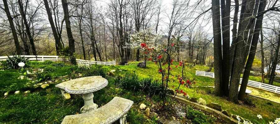 Proprietate Breaza de vis , zona de vis , prezentarea agentului , de vis - 5