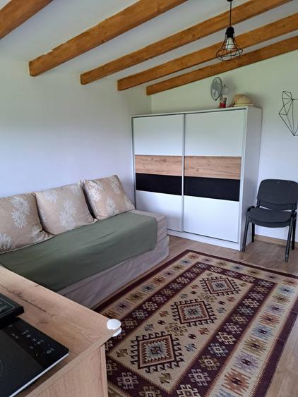 Proprietar vand teren 1200mp cu casa, intravilan, CF, cadastru, sat Micesti, com.Tureni - 2