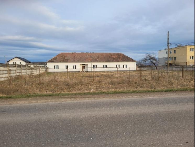 PF inchiriez 3 parcele de teren cu cladiri si hale, iesire la asfalt - 4