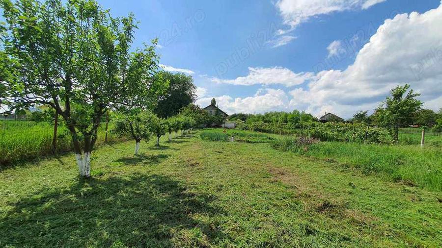 Vand casa la alb. - 1