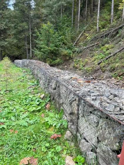 Cabana cu 4 camere, zona ?ugag - Tau Bistra - 3