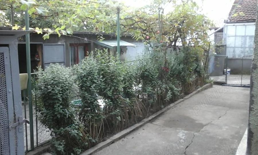 Casa de vanzare, la tara in Zagujeni, com C.tin Daicoviciu , jud Caras Severin - 7