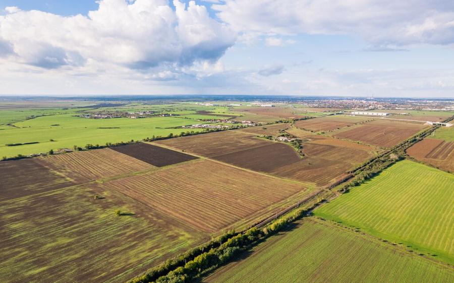 Teren de 100000 mp in Arad - 1