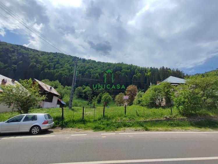 Teren Voineasa/Intravilan/5500 mp - 2