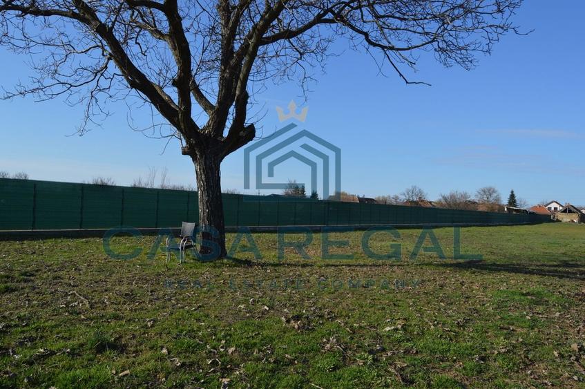 Teren 3500 mp împrejmuit, central, Biharia, lângă Profi, utilități - 8