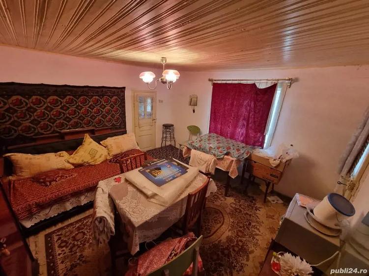 A 13. 20000 mp teren ?i 3 constructii casa in judetul Bacau - 7