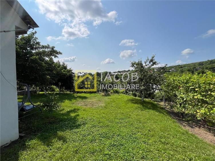 Casa cu 1690 mp teren, vie pe rod, comuna Sarata, jud. Bacau - 9