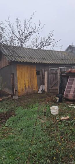 vand casa la tara - 2