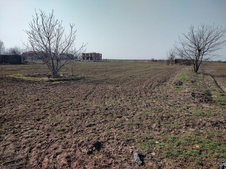 Frumusani.deschidere la dn4 5000mp.proprietat - 12