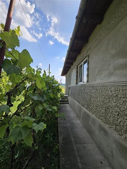 Casa solida, independenta energetic, mutare imediata, 2000 mp teren Targu Trotus - 6