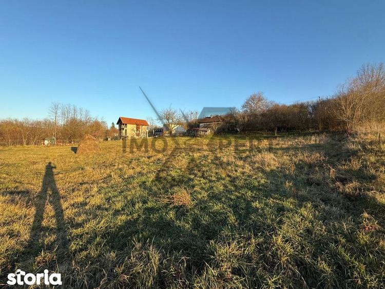 Casa cu teren, 3000mp, la 20 de minute de Cluj, Borsa - 4
