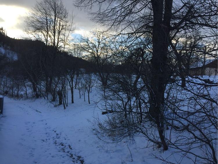 Teren intravilan - 3