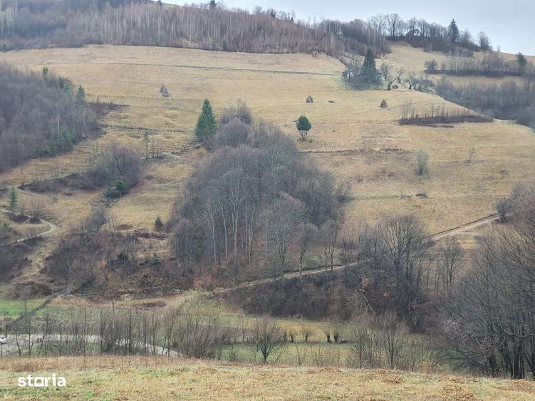 Teren Poiana Marului pretabil investitie 5 euro/mp - 8