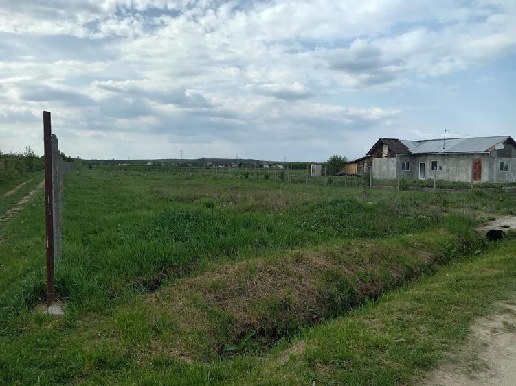 Teren in Priseaca - 3