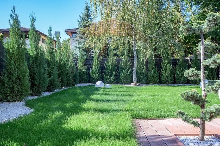 Vila moderna si luminoasa in Corbeanca - Mobilata si utilata - 17