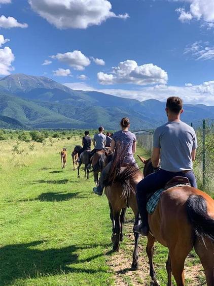 Teren intravilan 2500mp  pe Valea Avrigului,optim casa de vacanta - 6