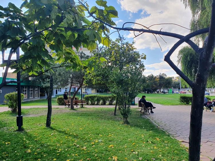 Spatiu comercial Nicolina - 2