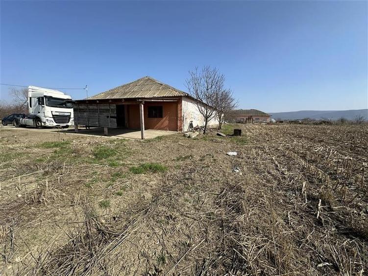 Letea Veche - Radomiresti - Hala 409 - teren 4.650mp - 1