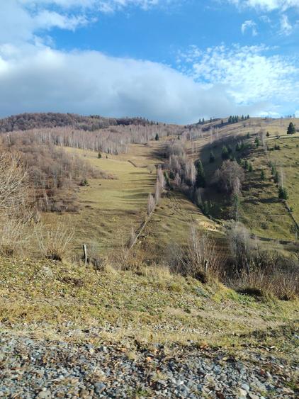 Teren cu Parau Muntele Baisorii - 1