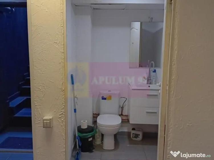 Spa?iu Demisol 106 mp | Intrare Separata + Toate Utilit... - 7