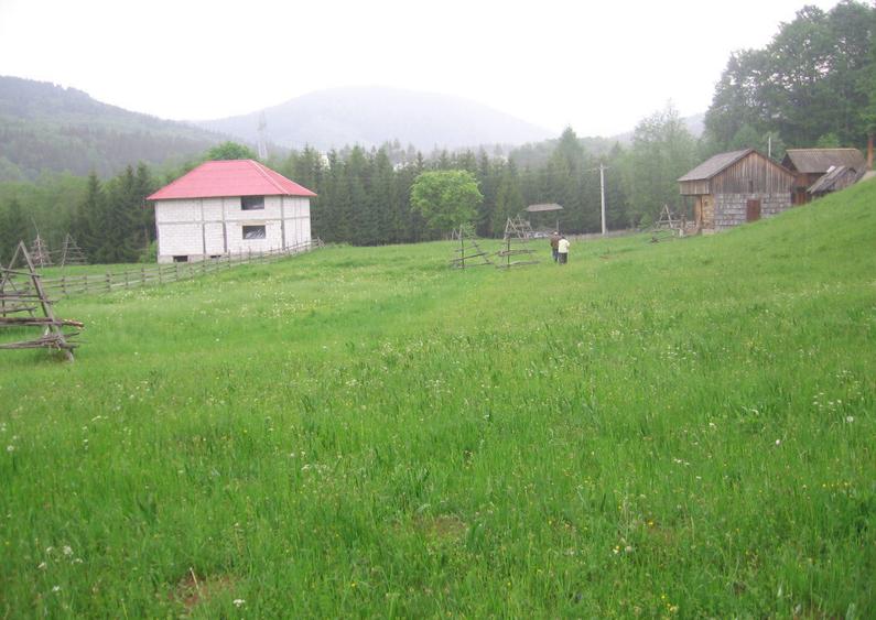 Teren intravilan Valea Doftanei - 12