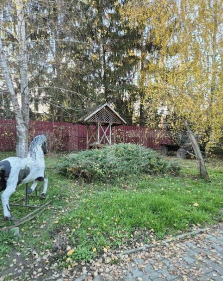 Proprietate de vanzare in Bardesti cu 1900 mp teren - 8