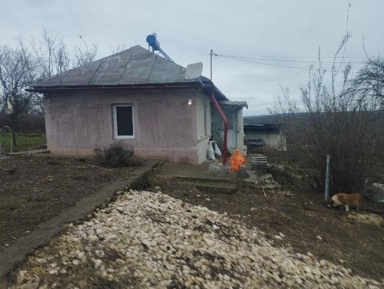 casa 2 camere,vedere la padure,dumbraveni,constanta. - 4