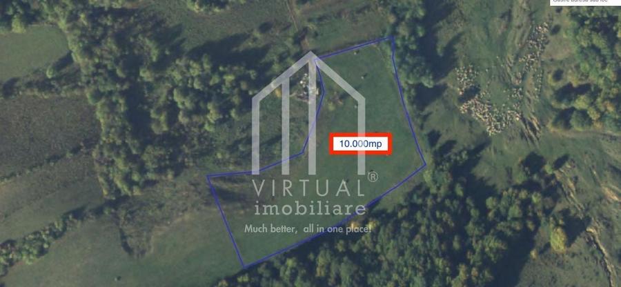 Teren extravilan de vanzare 15,600 mp zona loc... Hamba - 5