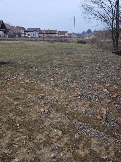 Teren intravilan Hamba - 3