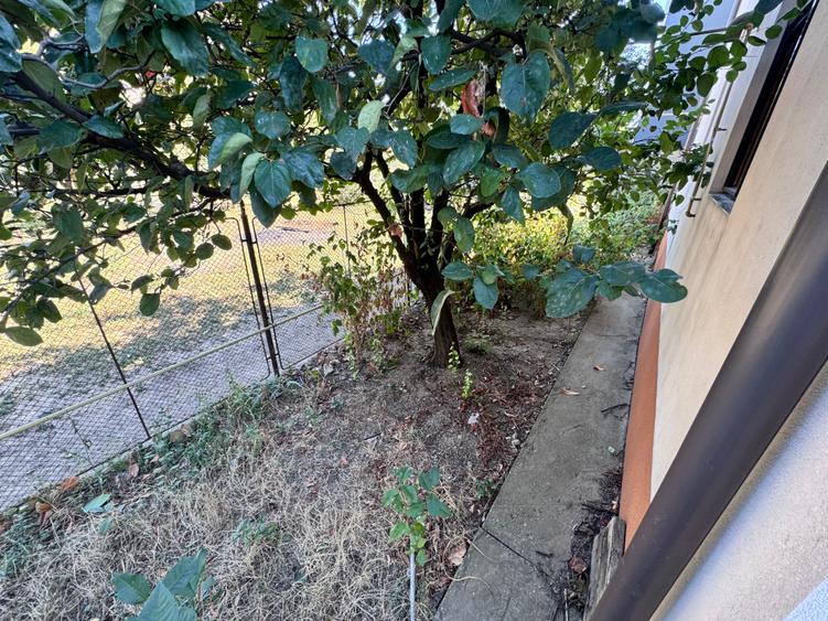 Casa individuala P+1+M amplasata pe un teren de 1612 mp. - 47