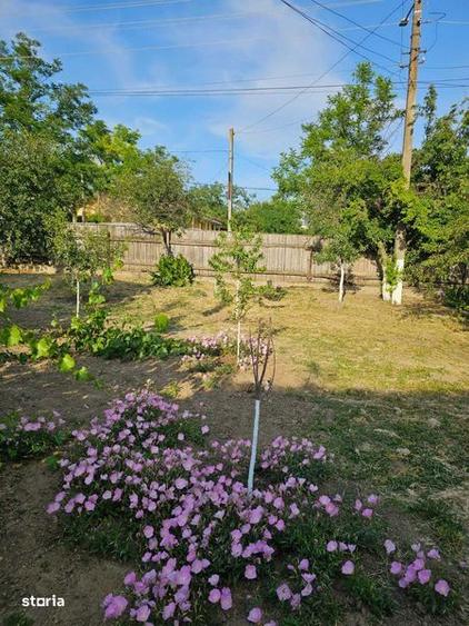 Casa dispunere centrala in OANCEA ! - 3