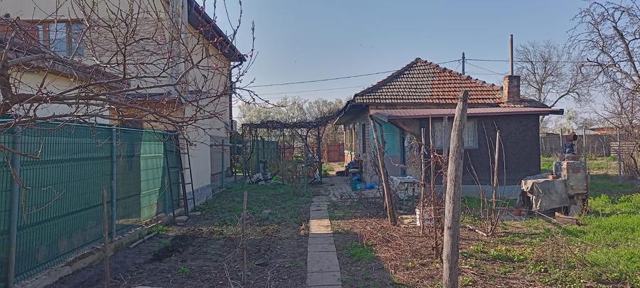 Lilieci Ialomita - 4