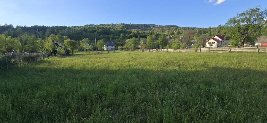 Teren de vanzare intre Borsa si Moisei Maramures! - 1