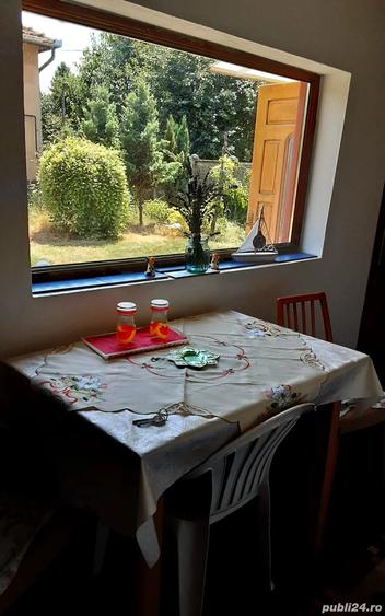 Vand casa langa Variasu Mic - 5