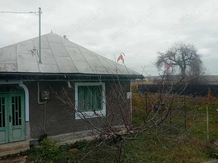 Casa Bodesti 50mp 2 camere bucataria anexe la sosea cu 1500mp teren lumina ,fintina cu apa - 1