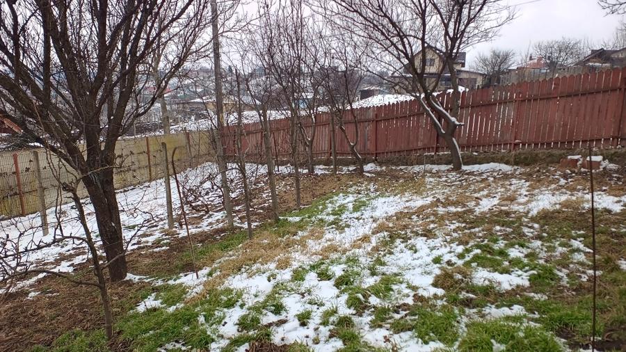 Teren 704 mp Breazu – asfalt + utilități – priveliște spre pădure – ideal casă - 8