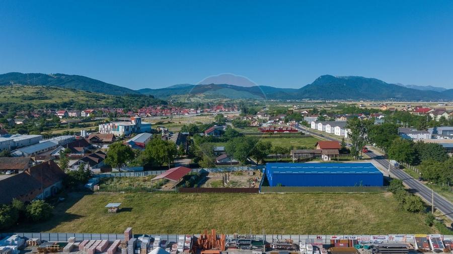 Teren industrial 4,400mp Carpinis / DJ 112D, - 3