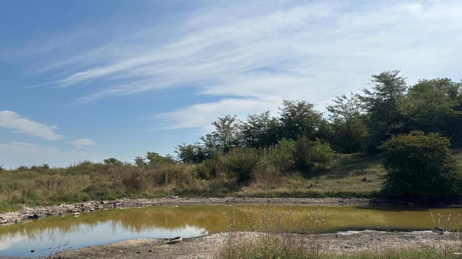 Teren intravilan langa padure - 1