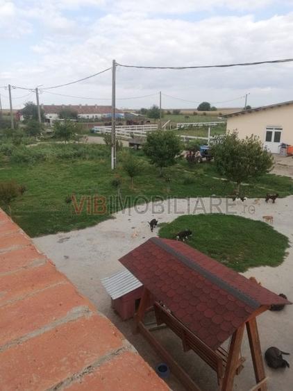 Ferma Zootehnică Mixtă – Cernateaz, Timiș | 9,5 ha | Hale Moderne, Casă 2019, Ut - 8