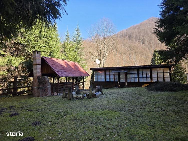 Vindem cabana la Boga- refugiu montan de poveste - 18