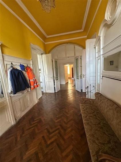 Conac Unicat Timis - 9