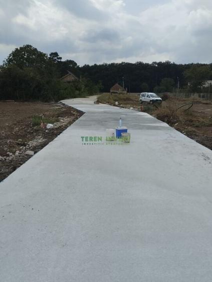 Vanzare lot de 550 mp -  Balotesti (DN1) - 3